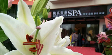 开业回顾 | 珠海这家高颜值的SPA会所,一开业就有各路大咖蜂拥而至!