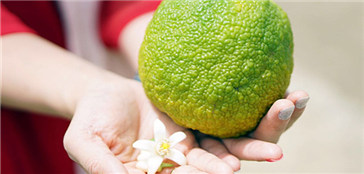 芳疗之旅|2017,和纯真一起走进北非花园摩洛哥