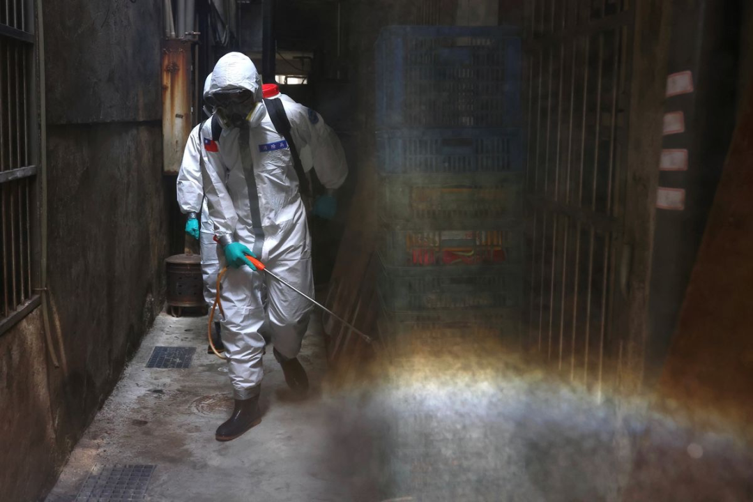 面对日益加剧的疫情,除了打苗苗,还能干什么?